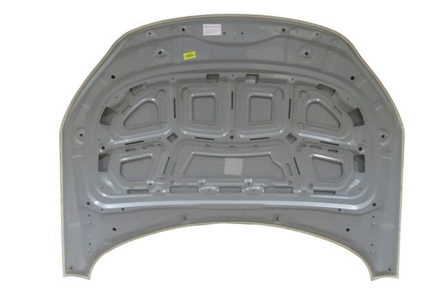 (YENİ ÜRÜN!!!)BYD HAN- 24/25; MOTOR KAPUTU GRİ BOYALI (İCELİ/ÇEKOMASTİKLİ) (SIMYI)